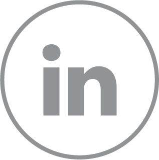 Icone LinkedIn gris dans un cercle fond transparent