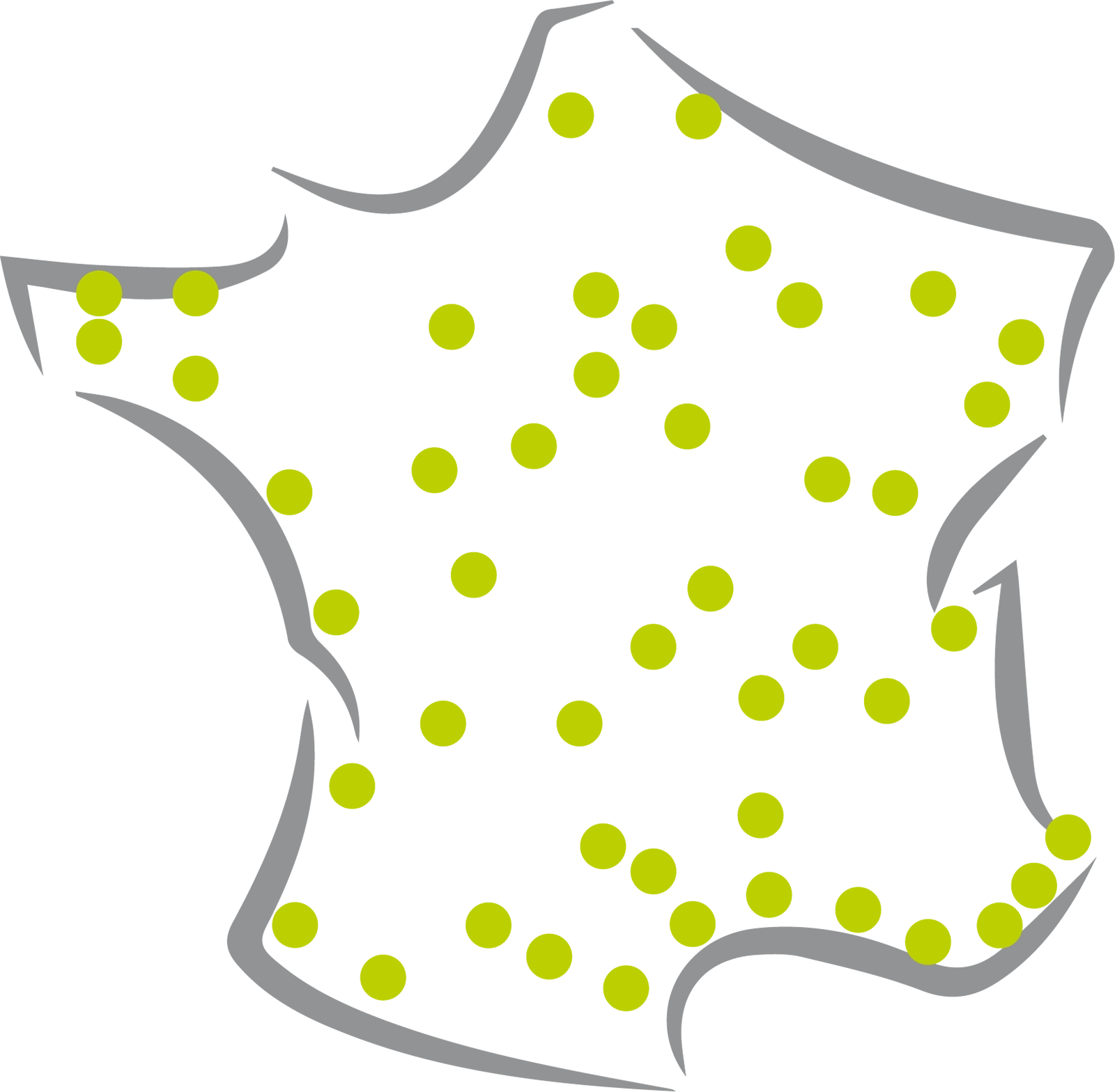 Icone carte de la France grise avec des points des villes verts