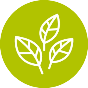 Icone avec 3 feuilles blanches dans un rond vert